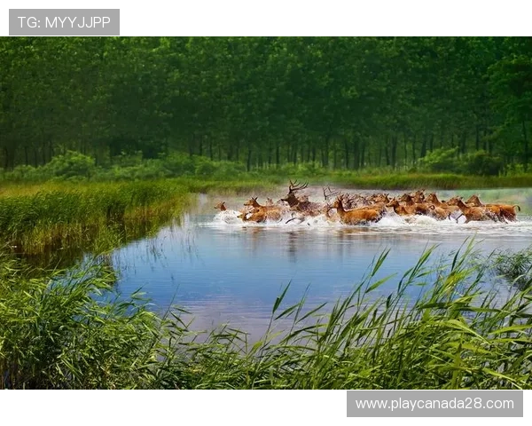 韩旭祥获盐城黄海湿地自行车赛男子青年组冠军